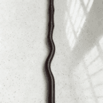 4d8b165746034ec22d02dd402da4c62e