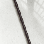 4d8b165746034ec22d02dd402da4c62e